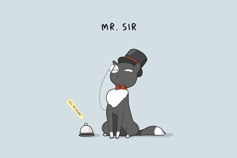 Мистер кот рисунок