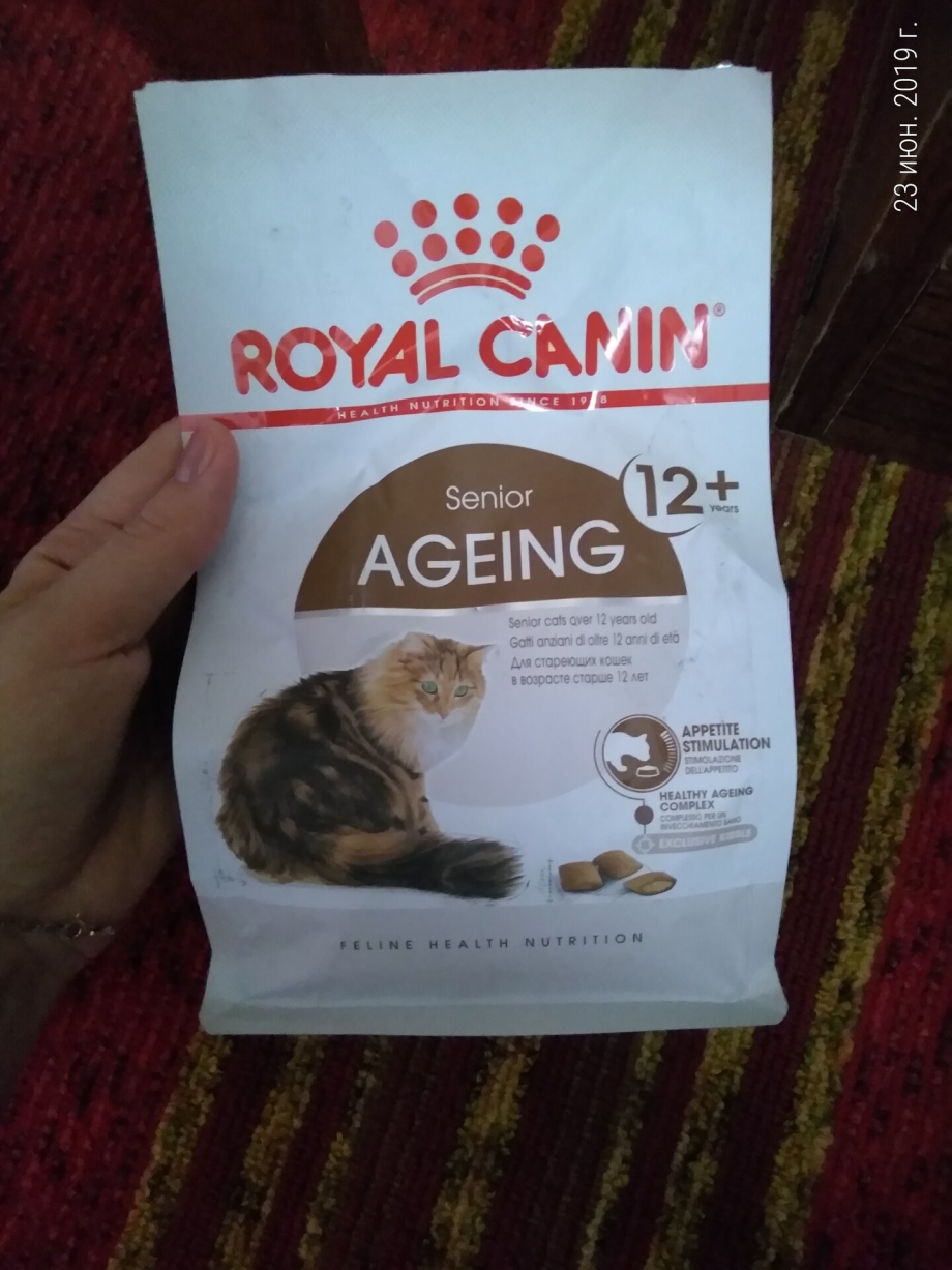 Royal Canin Maine Coon