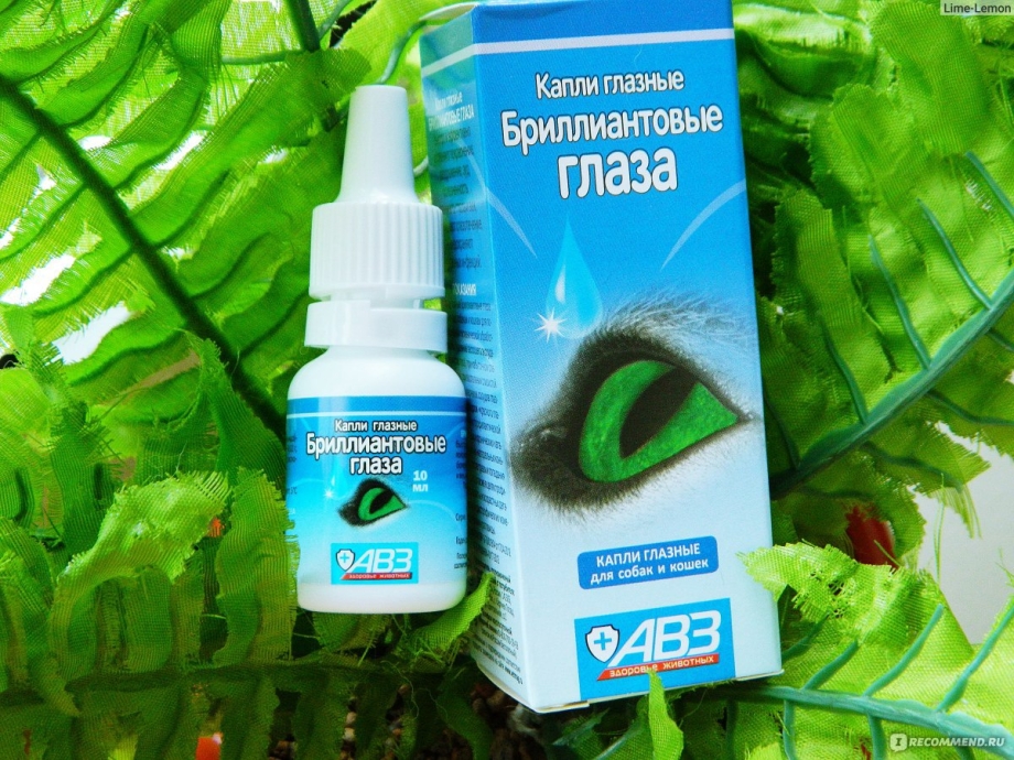 Диагностика кошек на наличие ВЛК 2018
