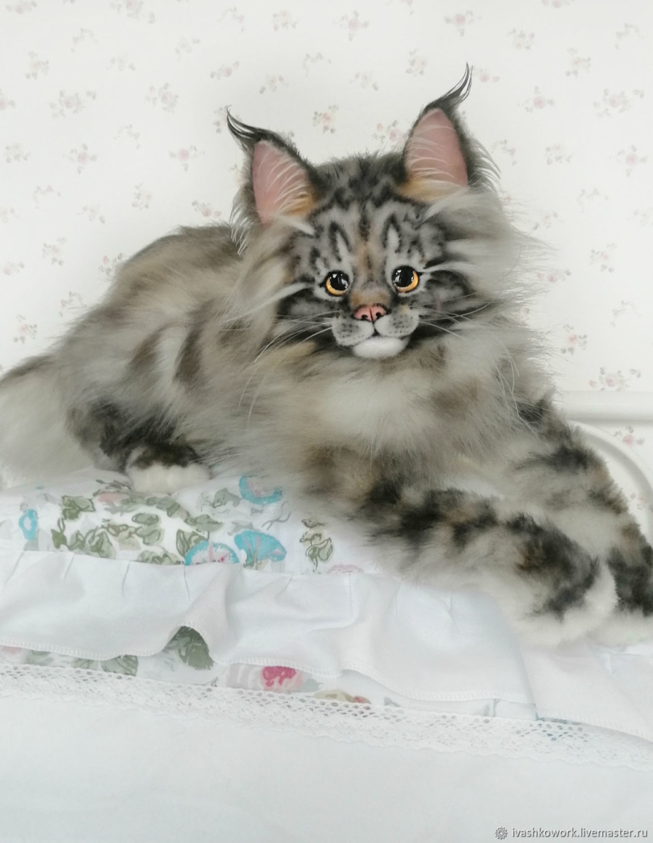 Мейн кун мраморный