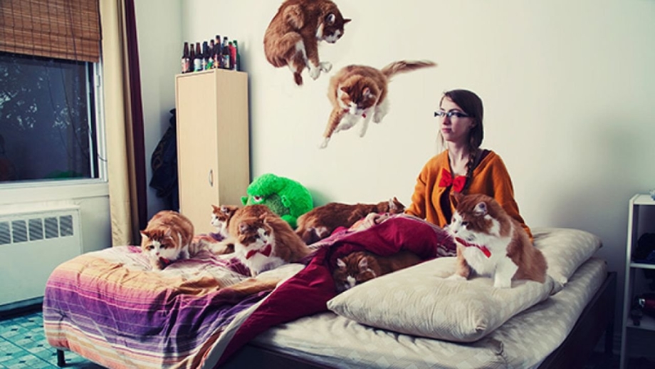 Девушка кошатница