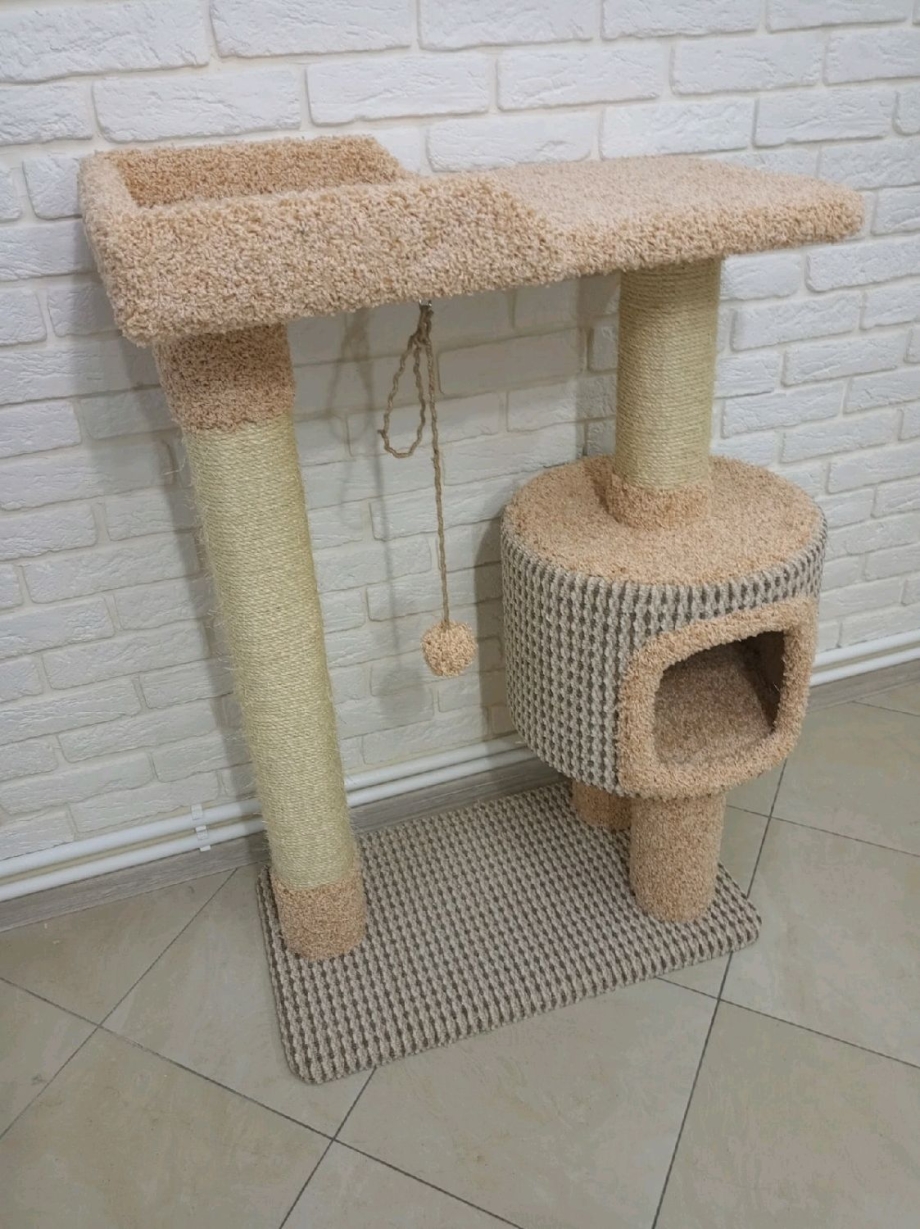 Кошачий комплекс
