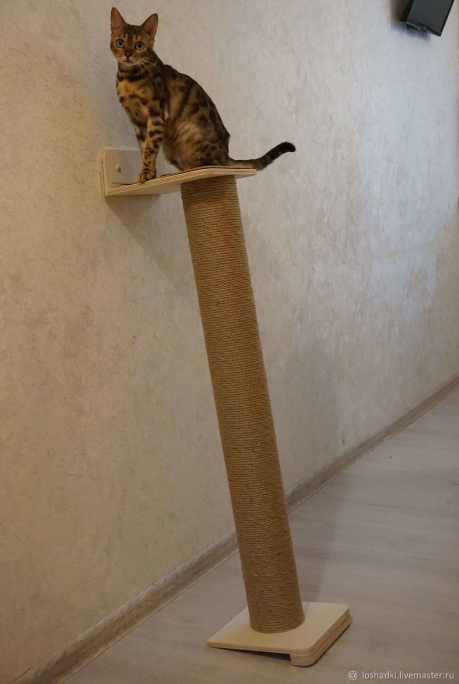 Когтеточка для кошек