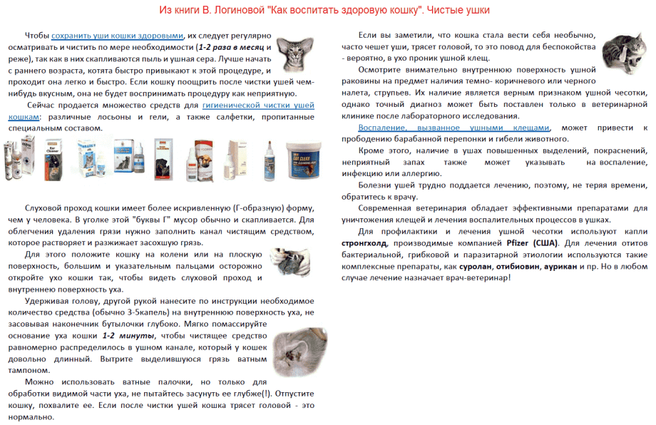 Кошачья ушная раковина
