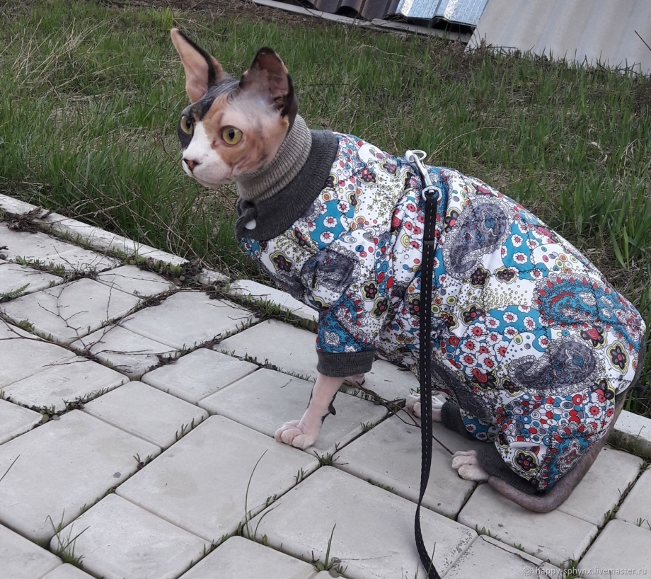 Костюмы для сфинксов