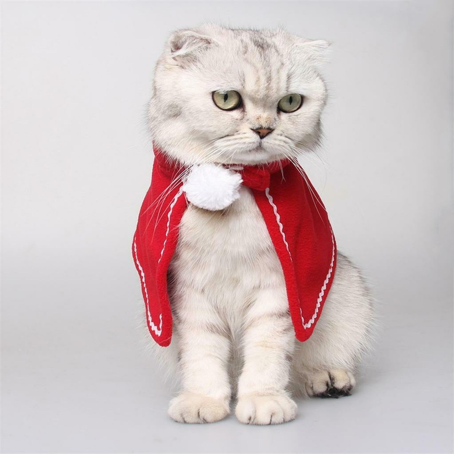 Костюмчики для для маленьких маленьких кошечек