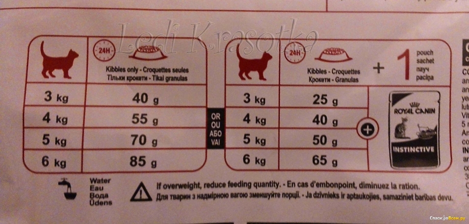 Норма сухого корма для кошек Роял Канин