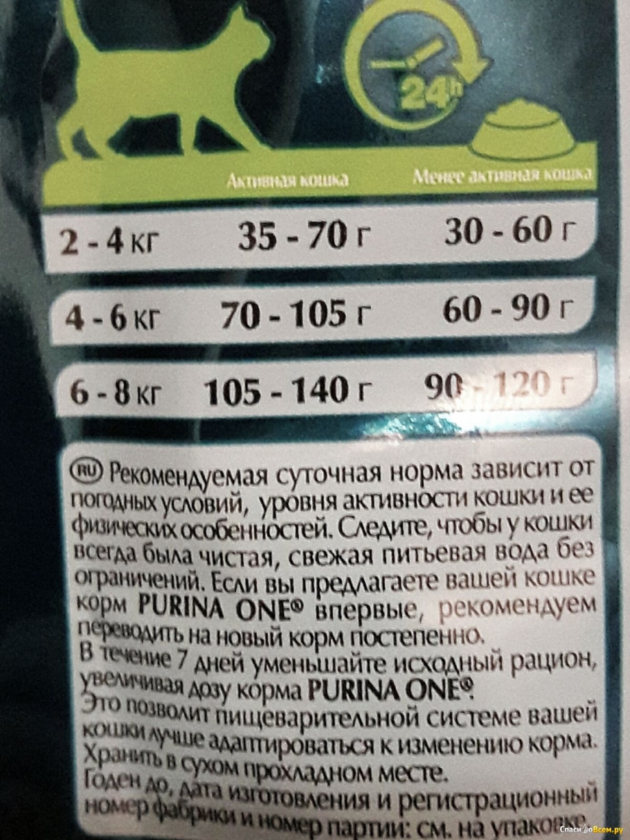 Норма сухого корма для кошек
