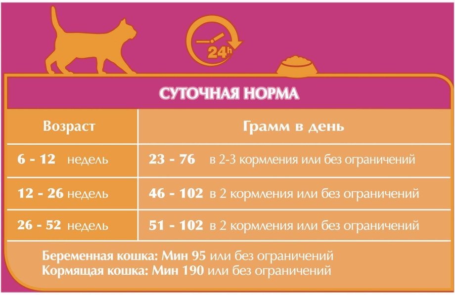 Норма корма для кошки