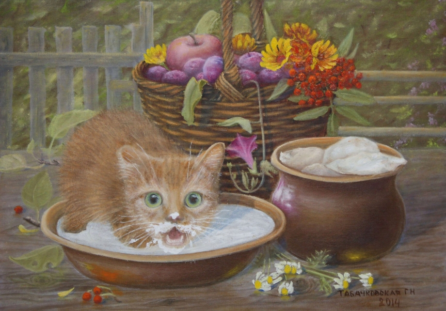 Котенок пьет молоко