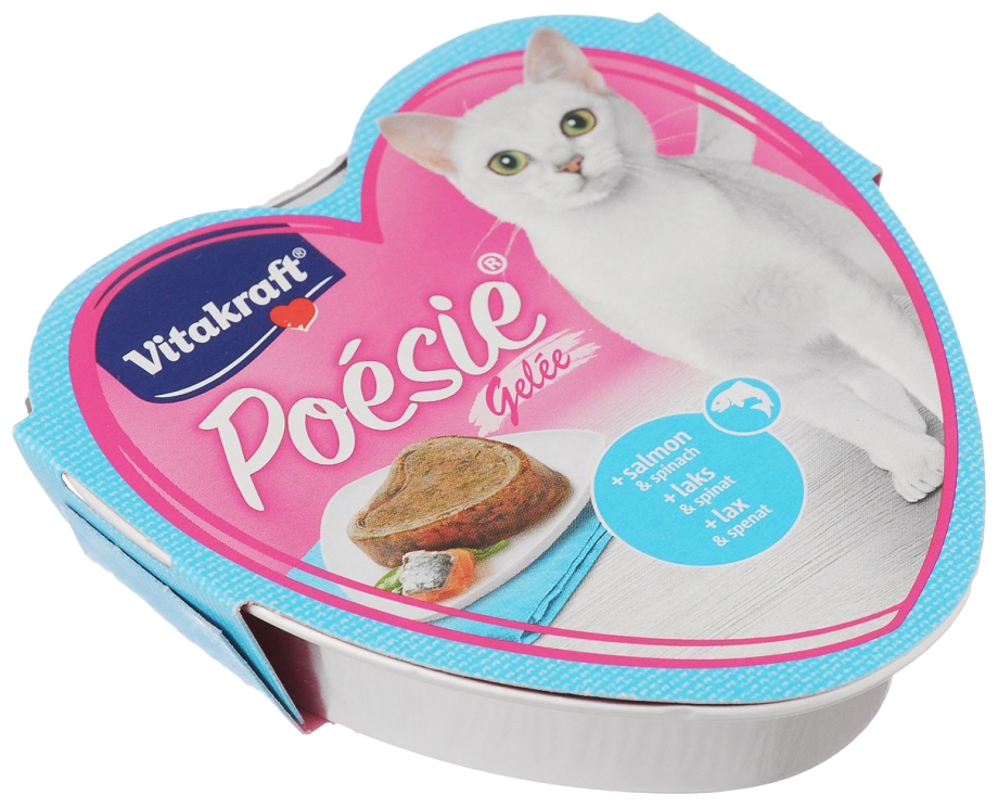 Кот в сметане