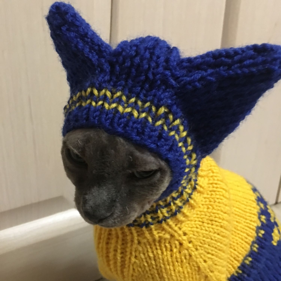 Котенок в шапочке
