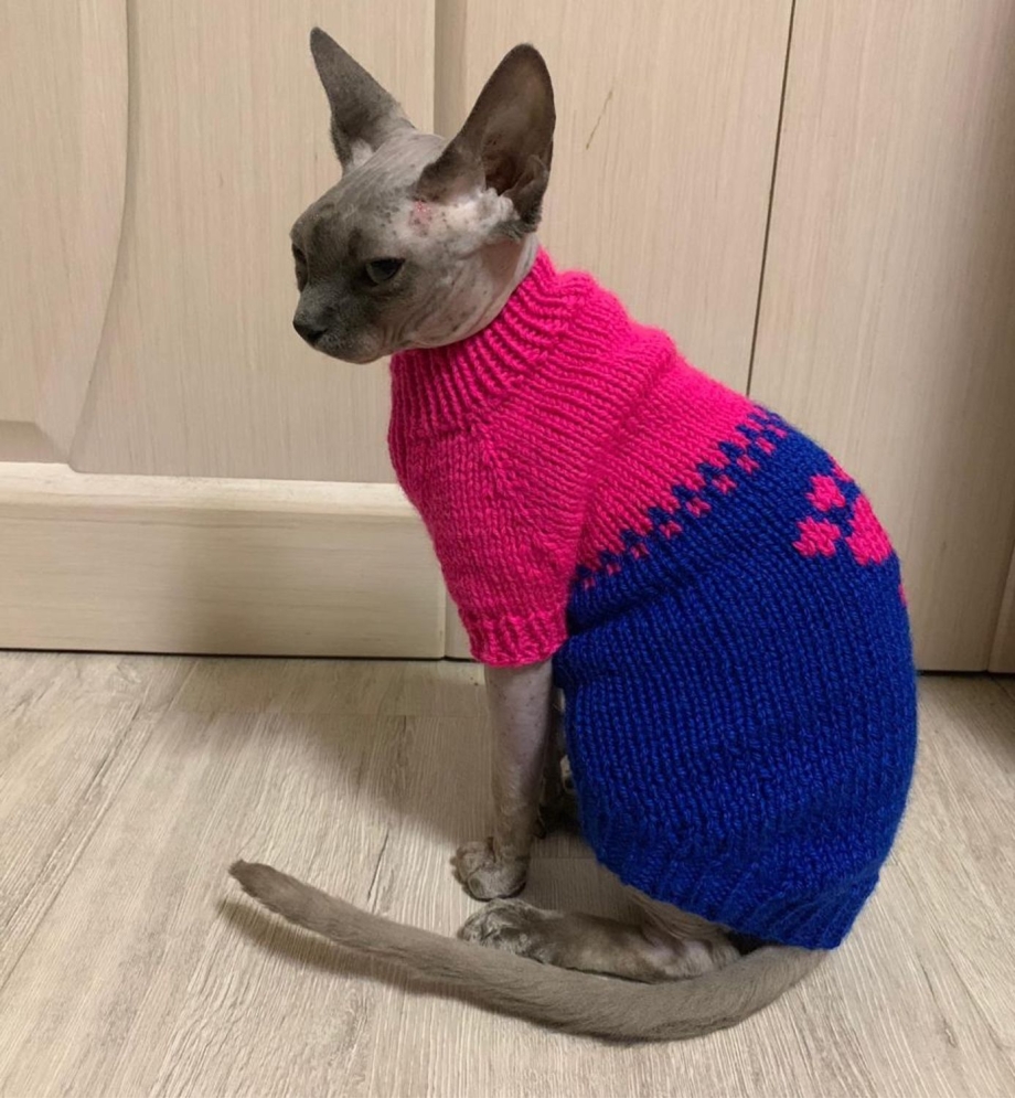 Свитер для кошки