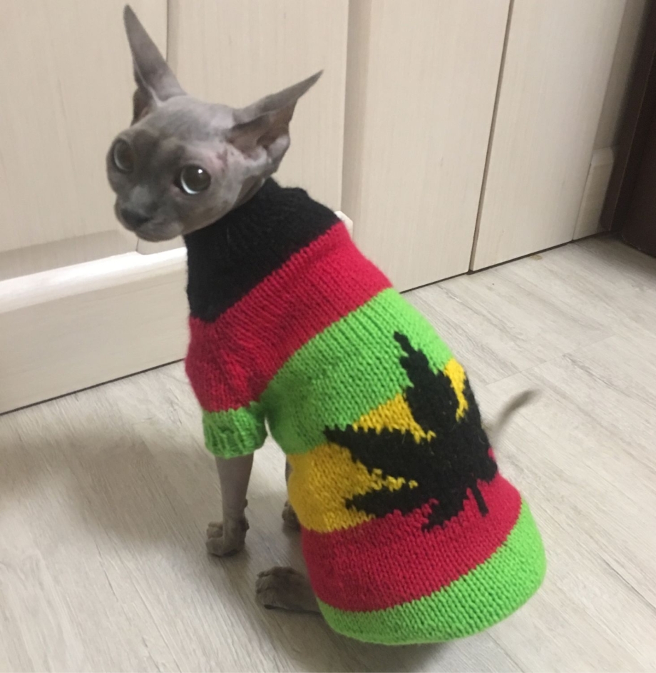 Поводок для кошек