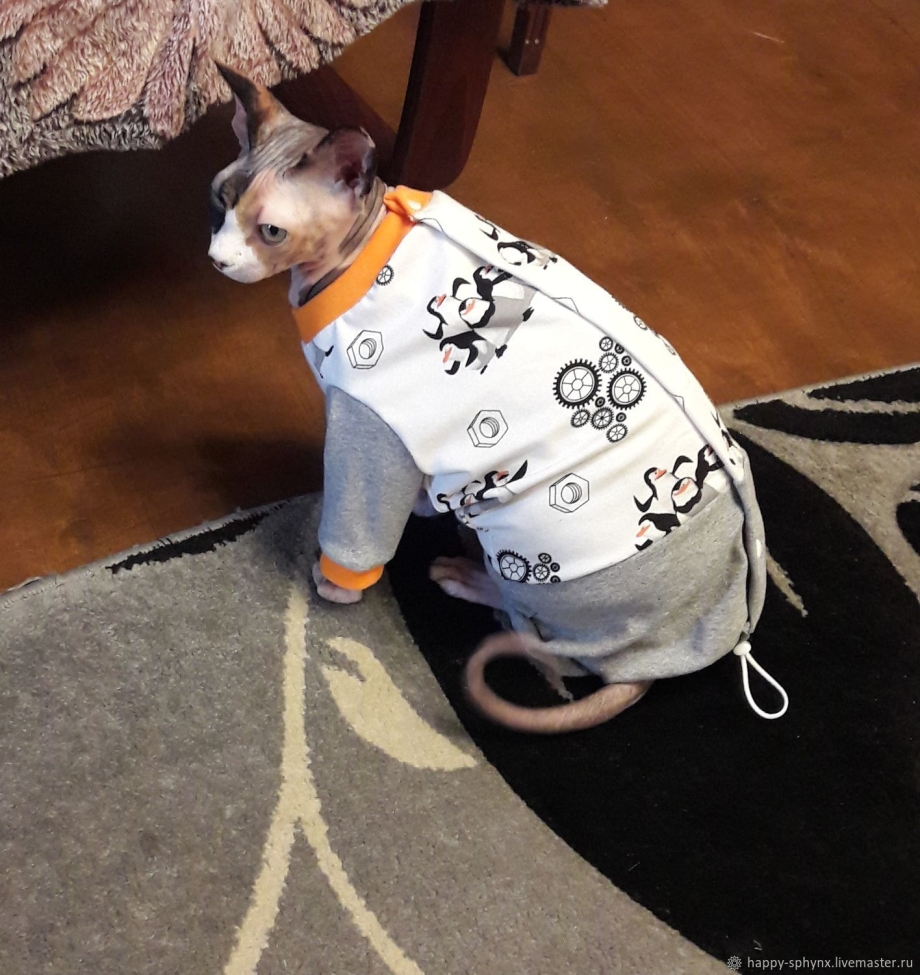 Одежда для кошек