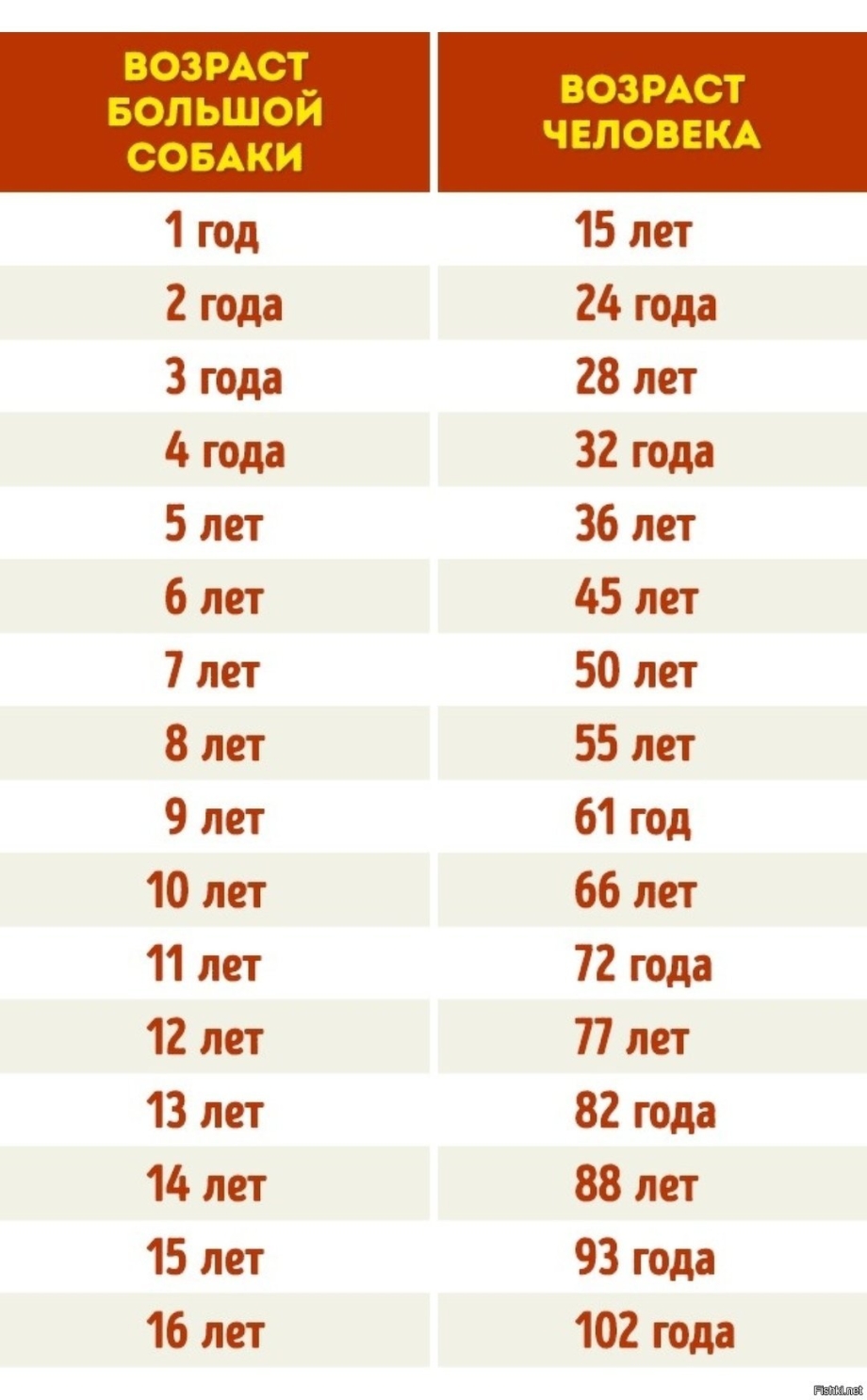 Кошачий Возраст на человеческий таблица