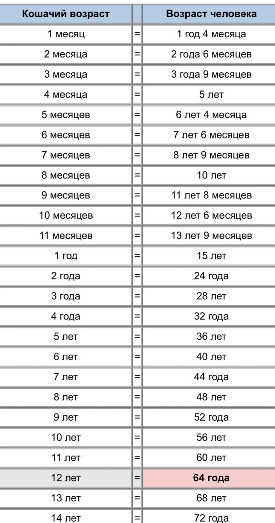 Возраст кошек в переводе на человеческий таблица