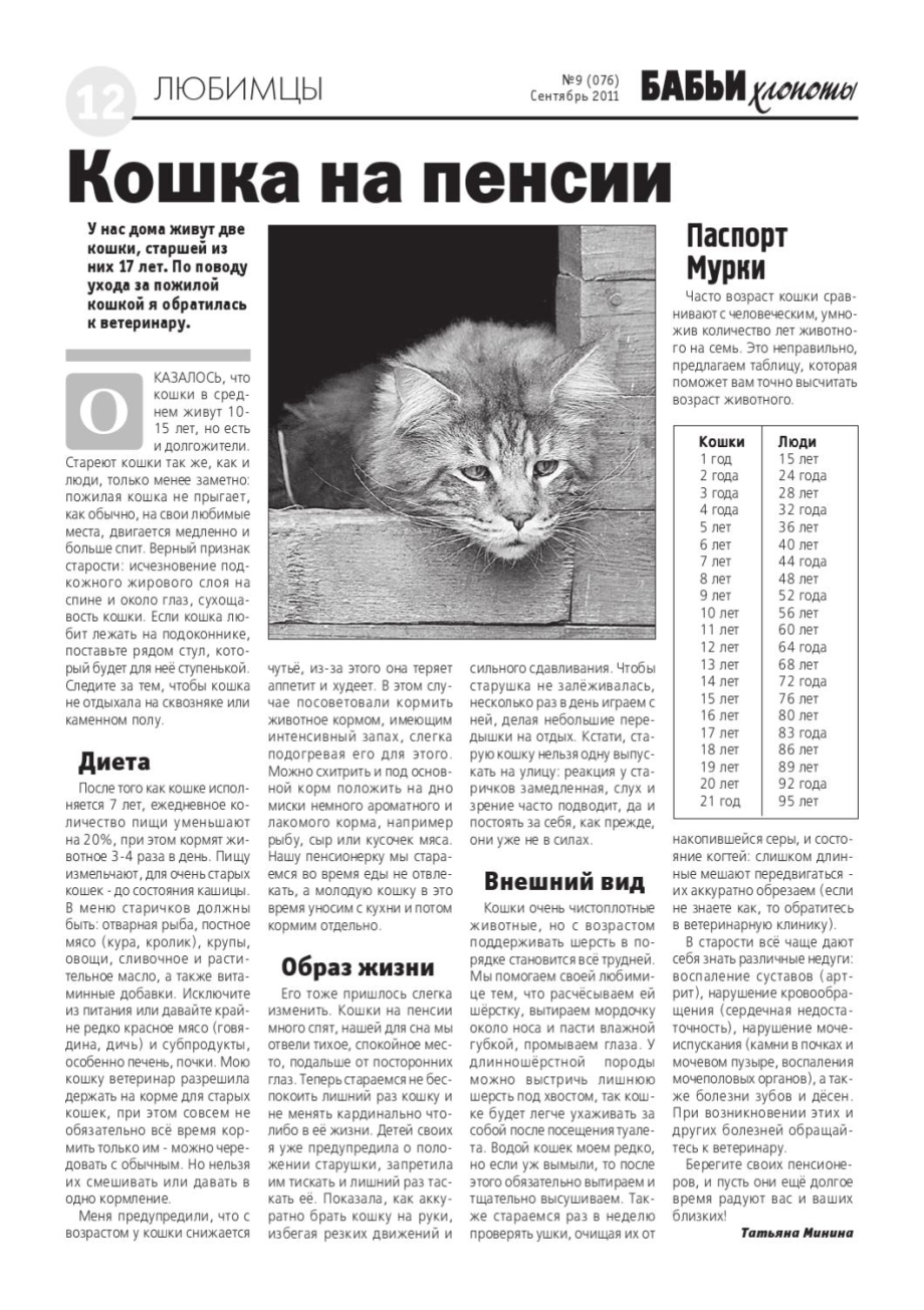 Очков на кошке лет 1000000