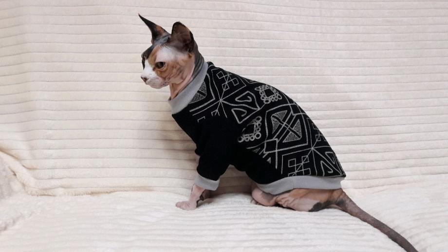 Кофта для сфинкса