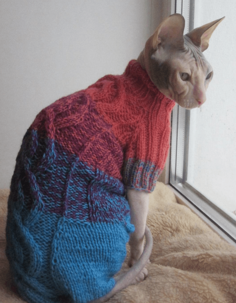 Свитер для кошки