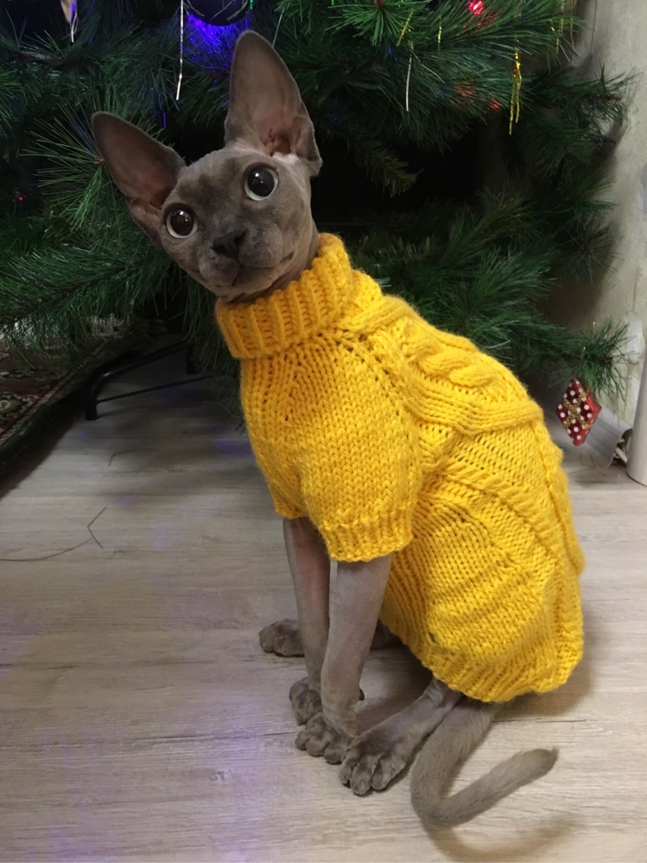 Вязаная одежда для кошек