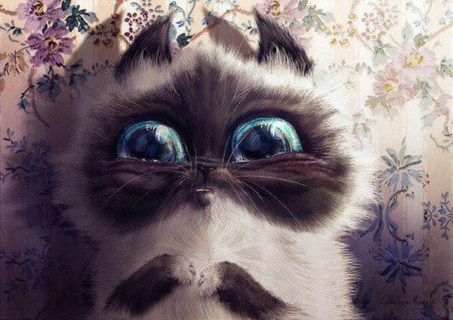 Котик с большими глазами