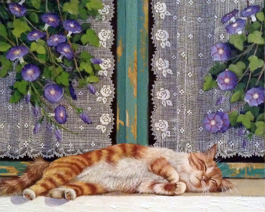 Сон кошки
