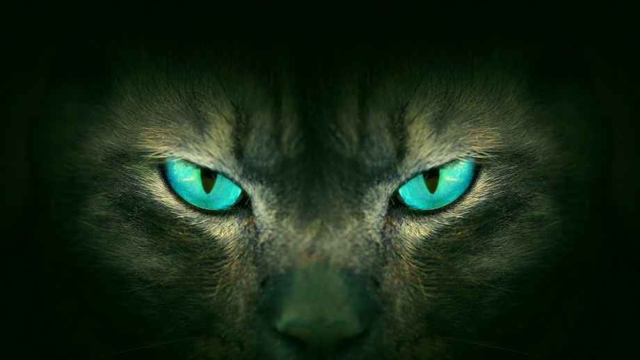 Кошачий глаз