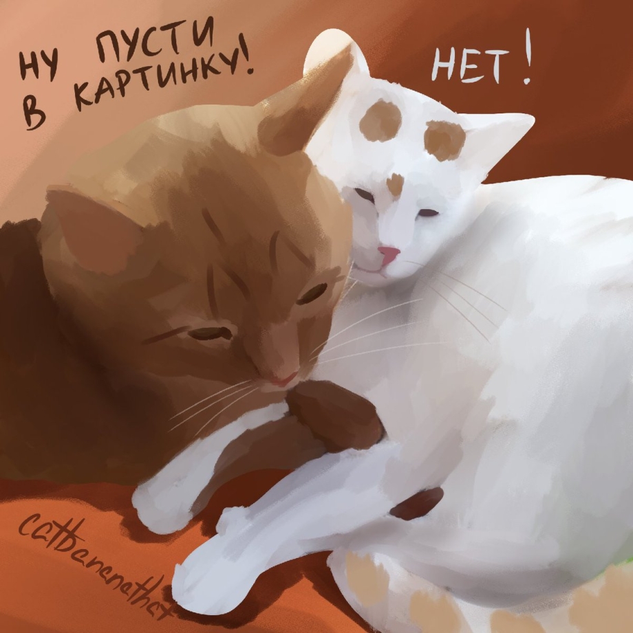 Гороскоп пары совместимость