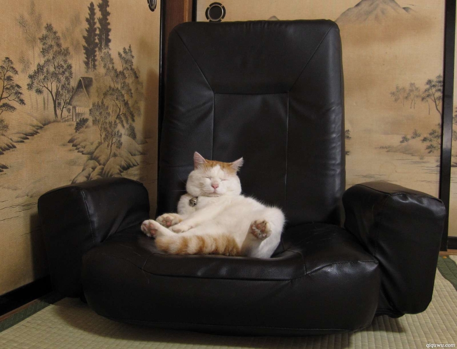 Кошка на кресле