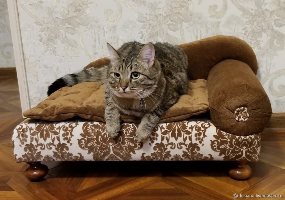 Шикарные диваны для кошек