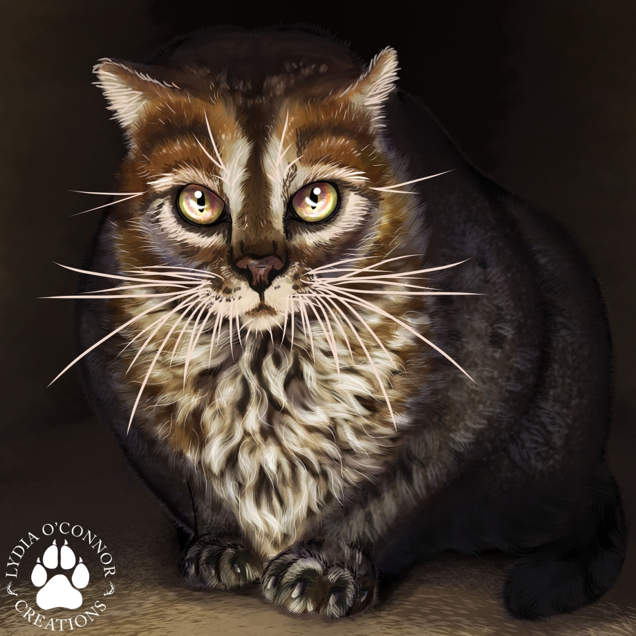 Prionailurus (Felis) bengalensis