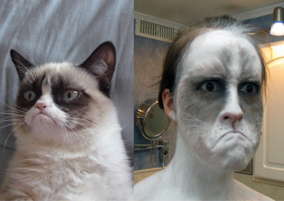 Коты угар
