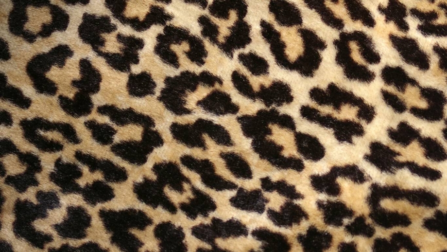 Шерсть леопарда