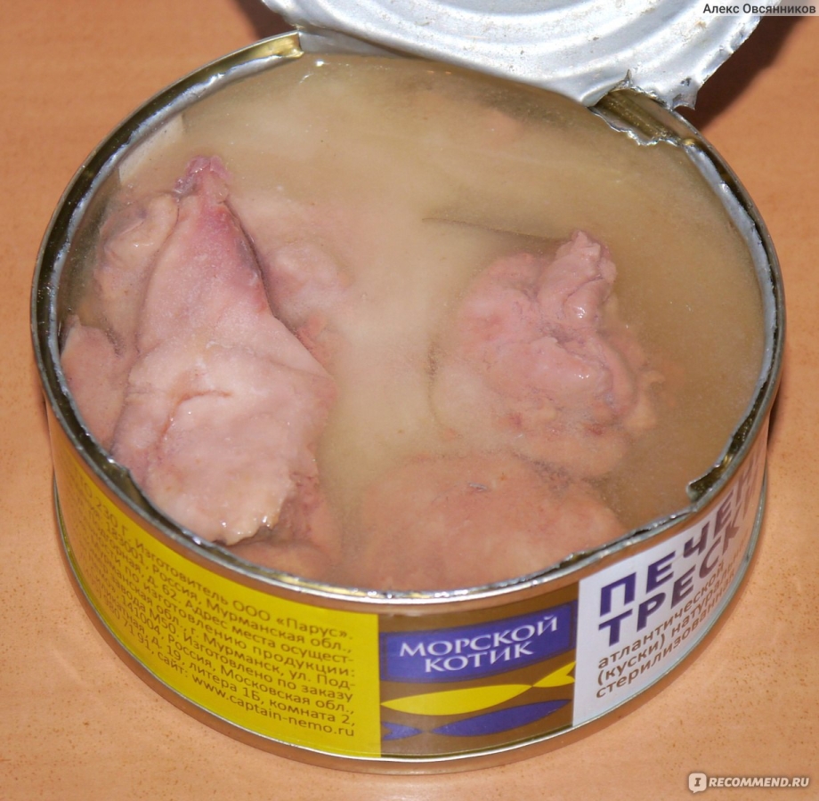 Внутренние органы кошки