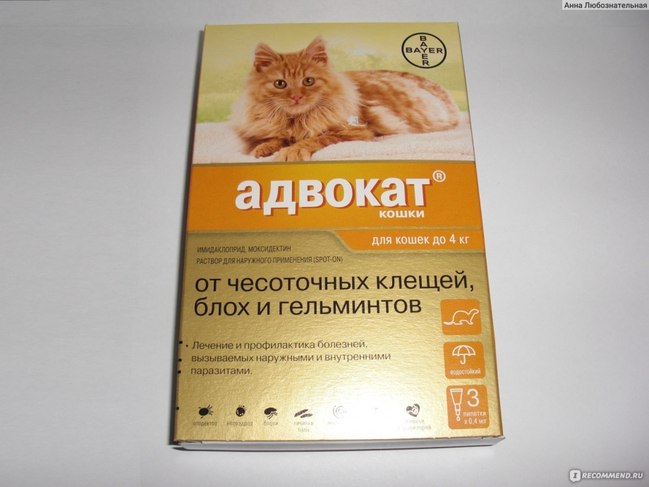 Капли на холку от блох для котят адвокат