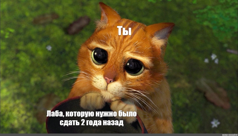 Плачущий кот из Шрека