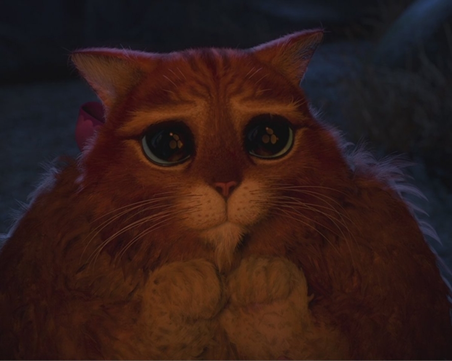 Шрек 3 кот