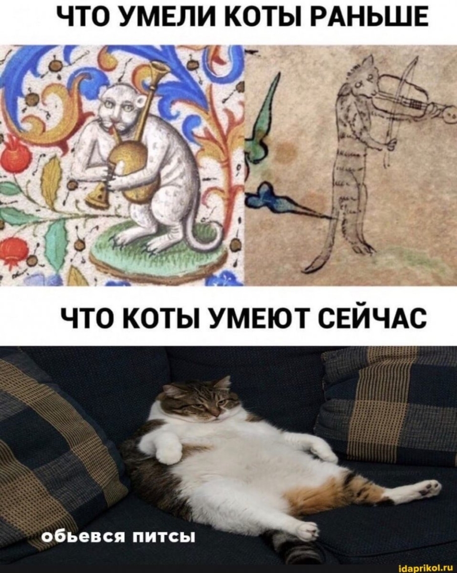 Средневековые коты мемы