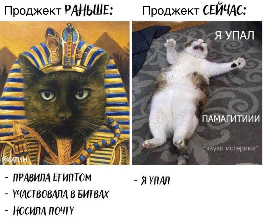 Кошки раньше