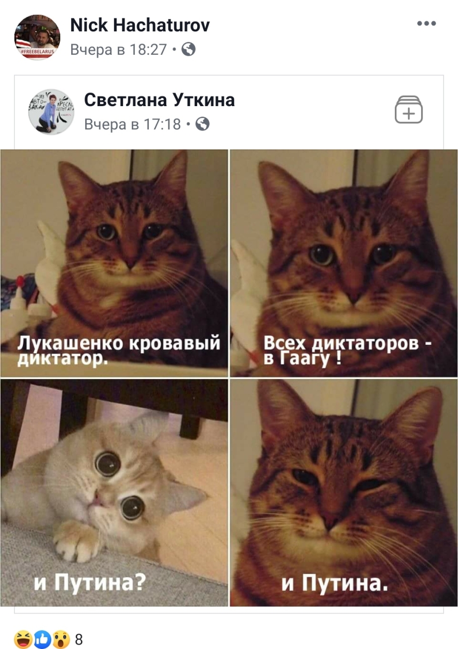 Кот пора просыпаться
