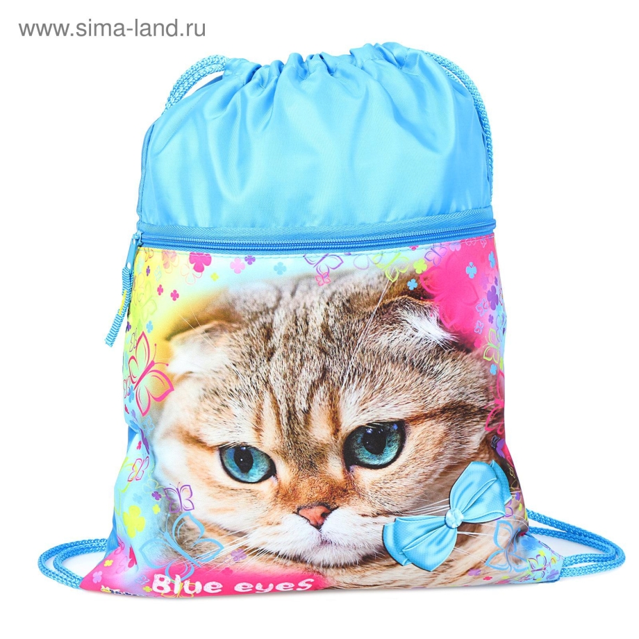 Сумка для кошек голубая