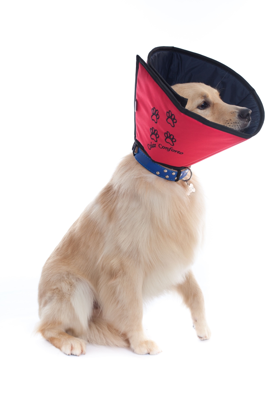 PETMED защитный воротник
