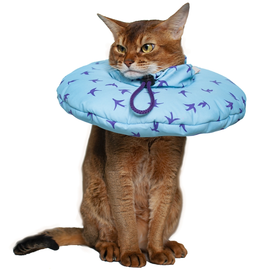 Защитный воротник Kruuse Buster clic Collar 25 см