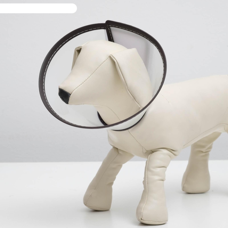 Защитный воротник Kruuse Buster clic Collar 10 см