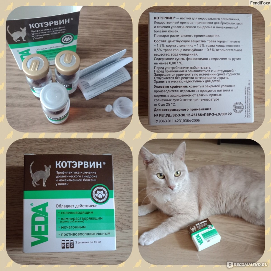 Кот Баюн аналог