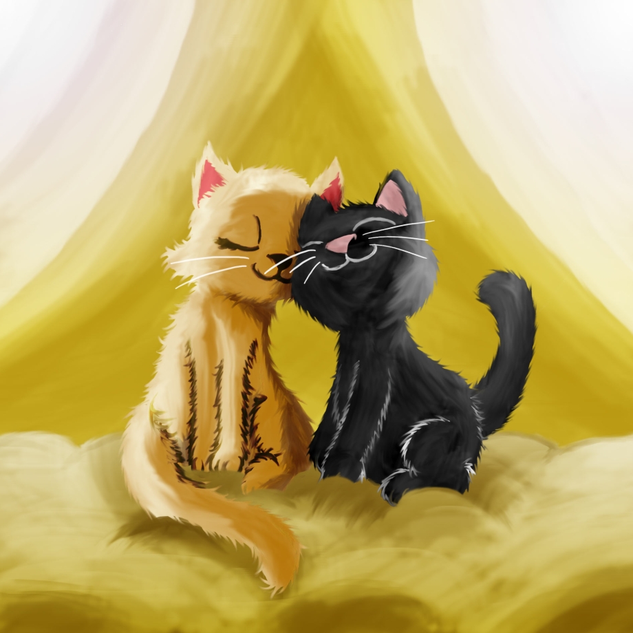 Счастье котики