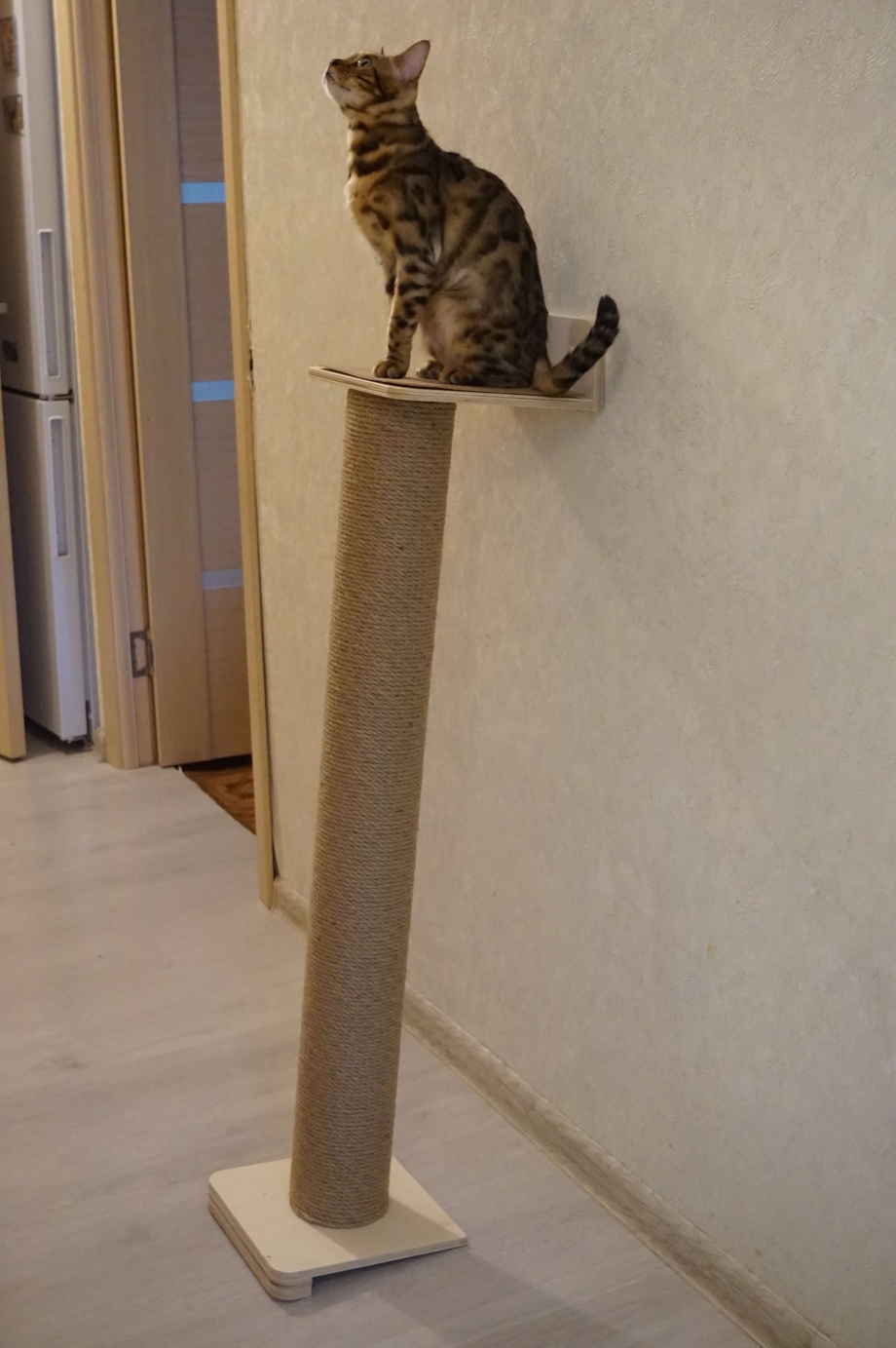 Когтеточка колонна