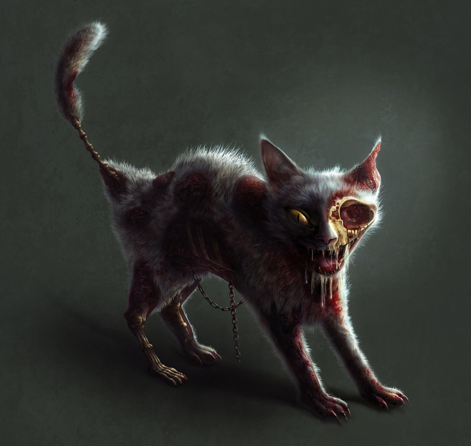 Очень злая кошка