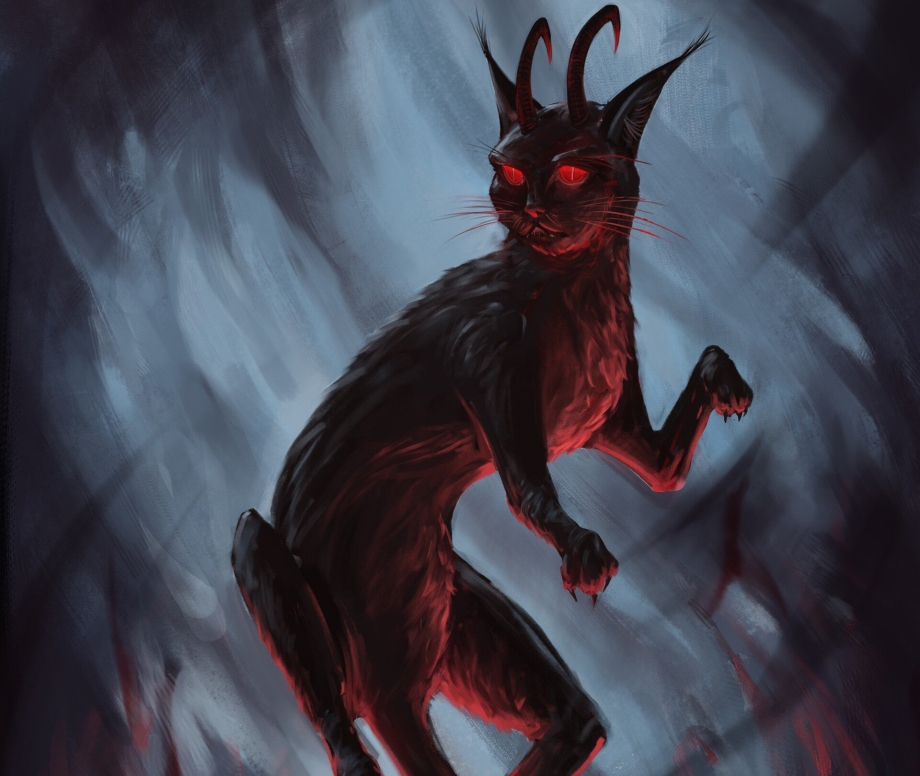 Чёрный кот